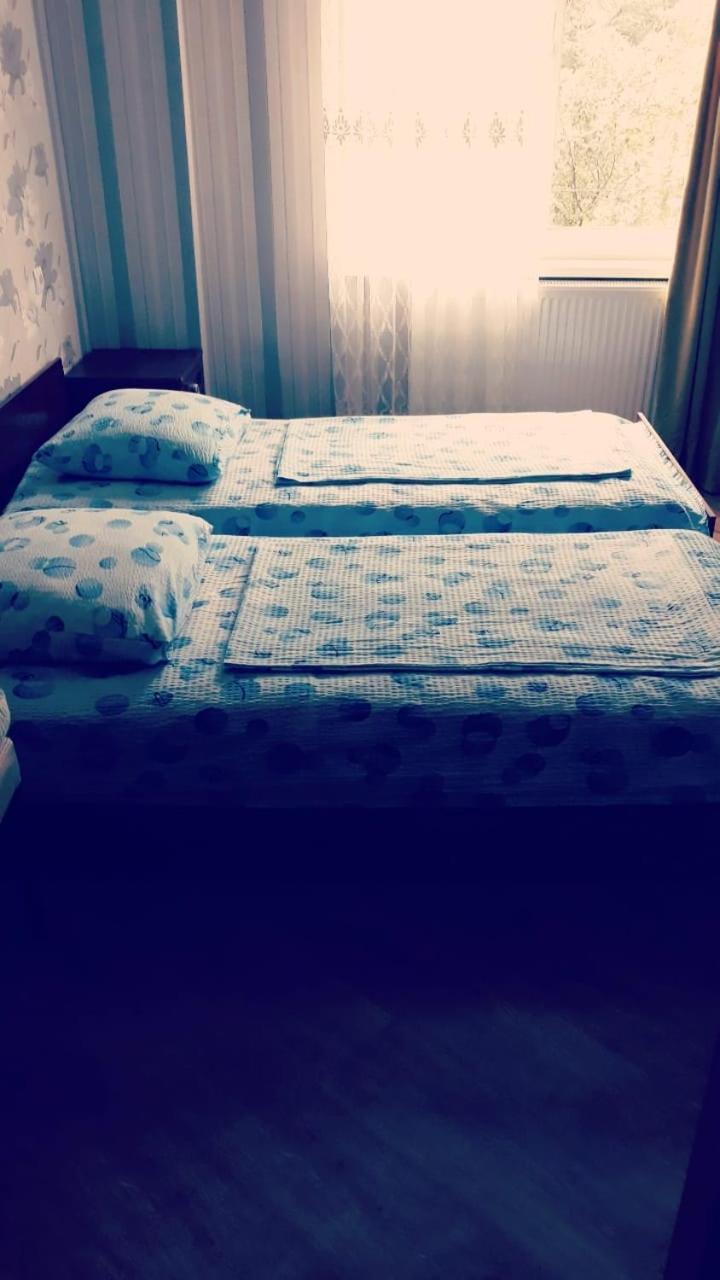 Hotel Family Hotel Chiatura エクステリア 写真